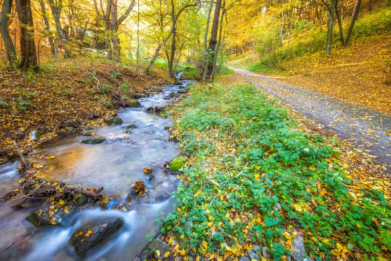 Stream v lese na podzim