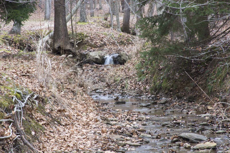 Stream in the forestwith waterfall stock image Stream in the forestwith waterfall stock image