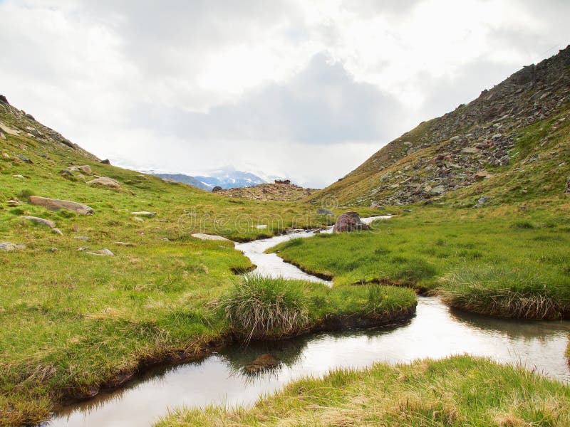 Stream In Fresh Green Alps Meadow Snowy Peaks Of Alps In Background