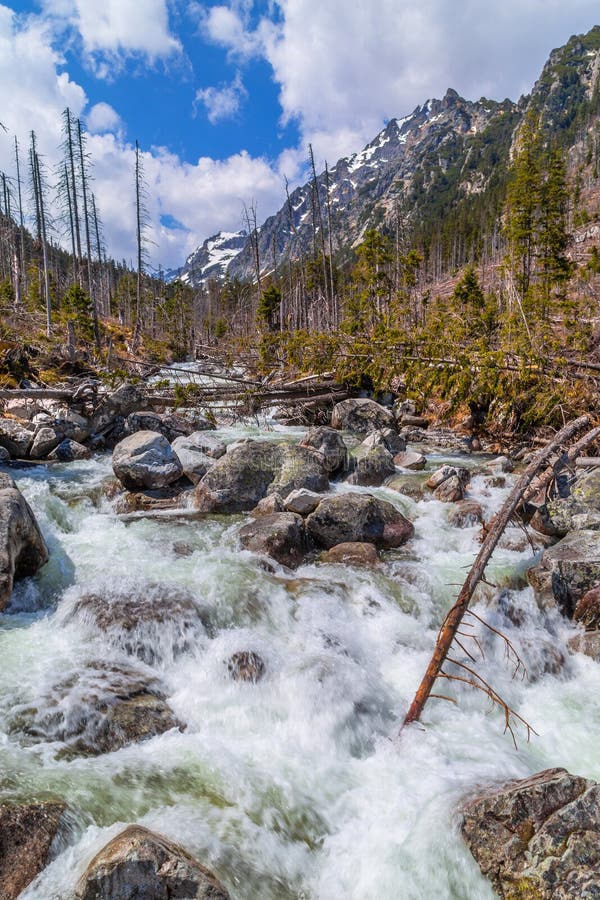 Stream in High Tatras mountains