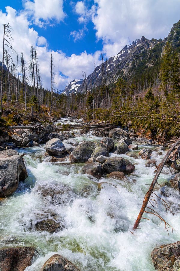 Stream in High Tatras mountains