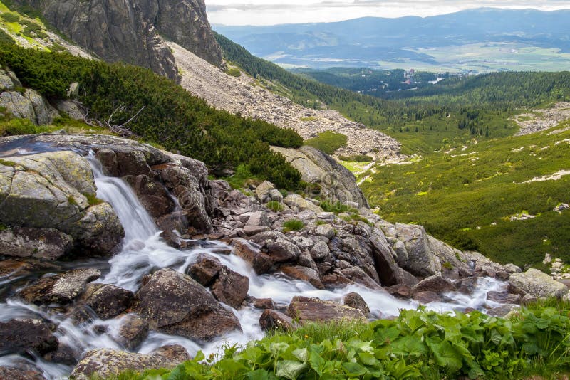 Potok v Mlynickej doline, Slovensko