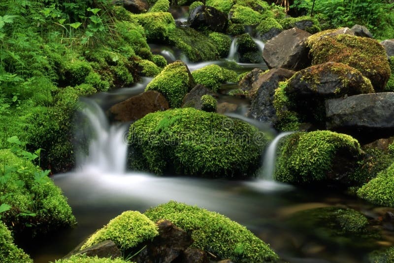 Stream in mountain