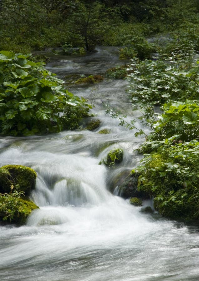 Stream in mountains