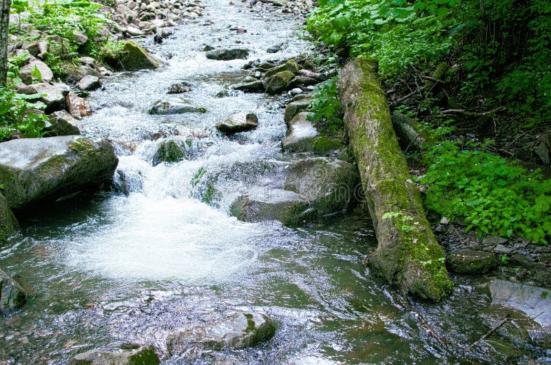 A stream in the mountains flows along the rocks and a stormy waterfall royalty free stock photography A stream in the mountains flows along the rocks and a stormy waterfall royalty free stock photography