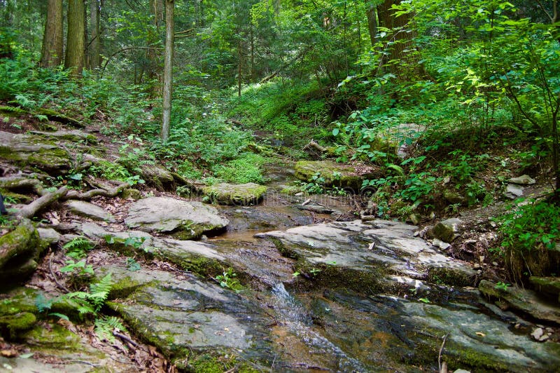 Small stream running through the woods between rocks. Small stream running through the woods between rocks.