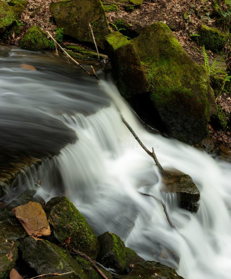 Long exposure river stock image. Image of grass, group 117651395