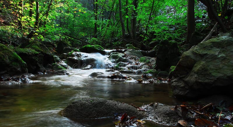 Stream with small waterfalls deep into the woods