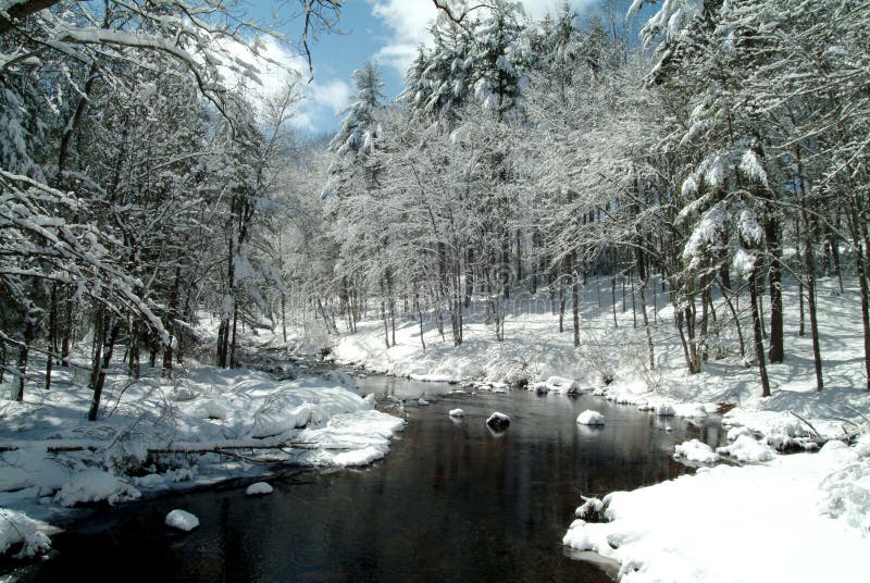 A stream runs through a snow-covered forest in rural New Hampshire, USA. A stream runs through a snow-covered forest in rural New Hampshire, USA.