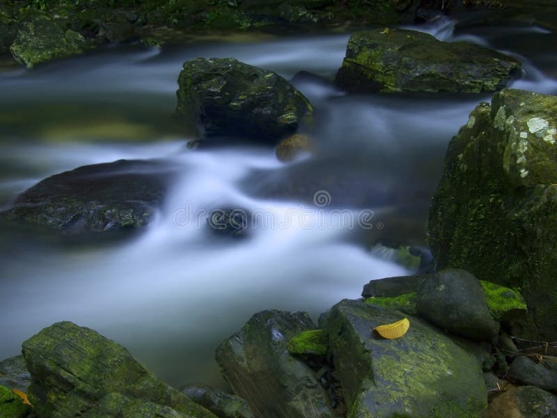 Stream of waterfall