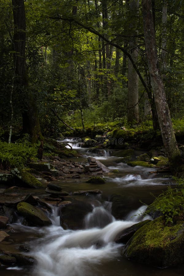 Stream and Waterfalls in Cades cove in the smoky mountain national park in Tennessee