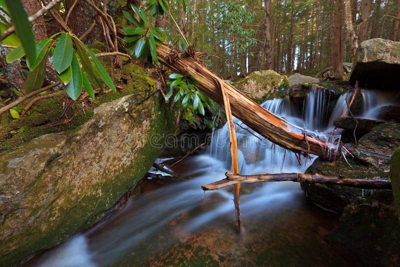 Stream and waterfalls in the mountains