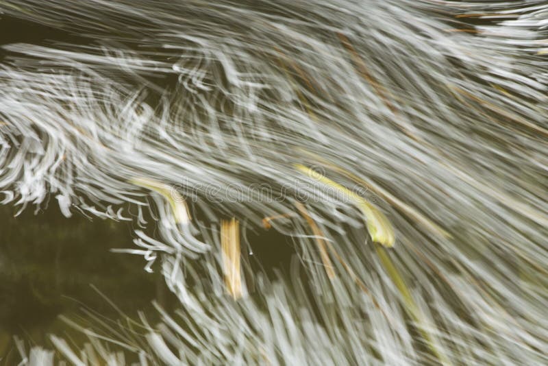 Streamlines in flowing river