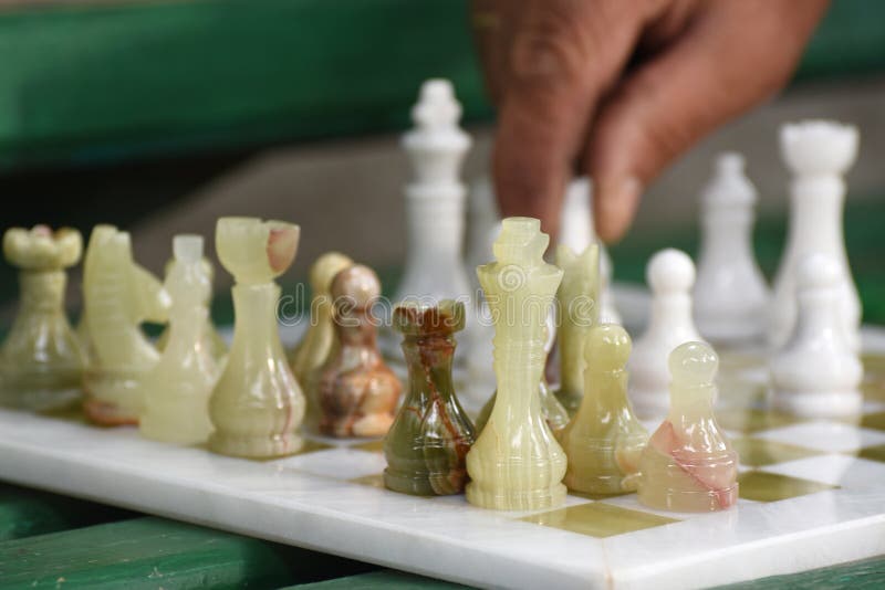 The chess games of Tal Shaked