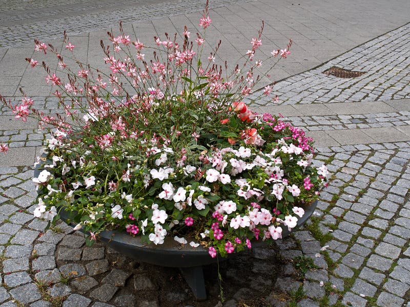 Street with flower pots