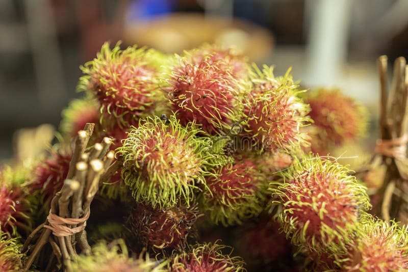 Street Food in Kuala-Lumpur Stock Photo - Image of closeup, attraction