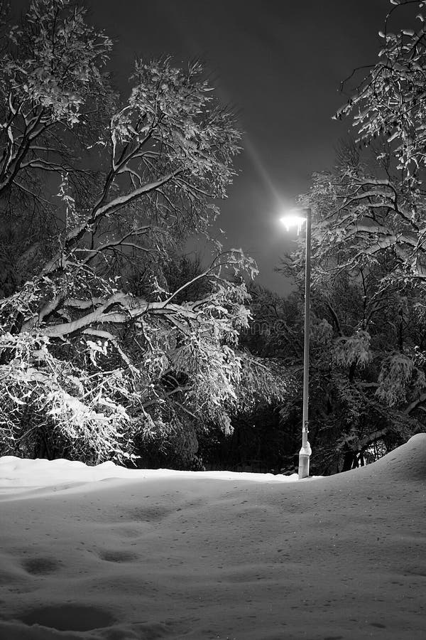 Street Lamp in a Park in the Winter Evening Black and White Stock Photo ...