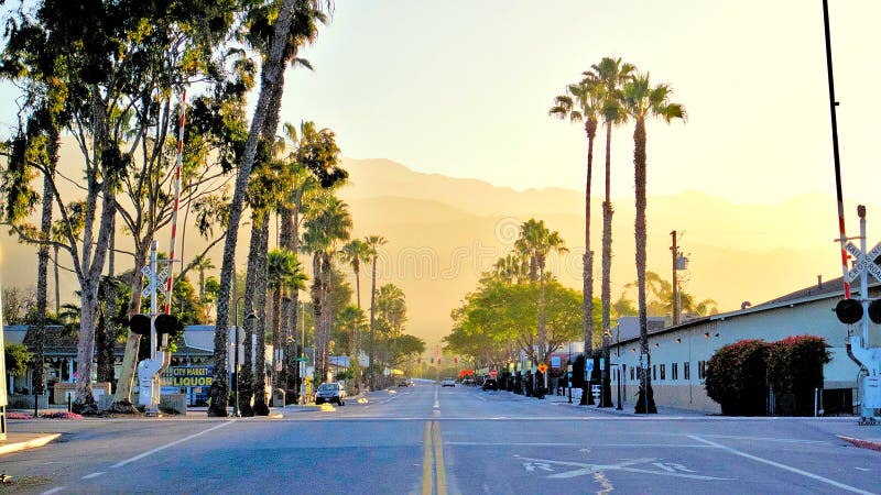 Street Perspective With Palm Trees in Morning Sunrise