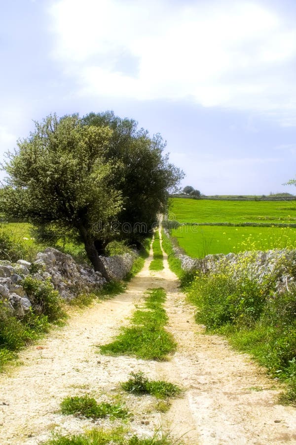 Street, in the sicilian landsc