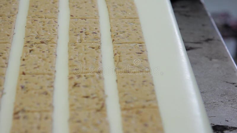 Streifen mit den Keksen, die entlang Förderband in der Bäckerei sich bewegen