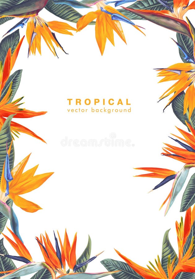 Summer background with a frame formed from the leaves and flowers of a tropical plant Strelitzia Reginae