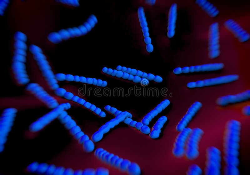 Gram Positive And Gram Negative Bacteria. Stock Vector - Illustration