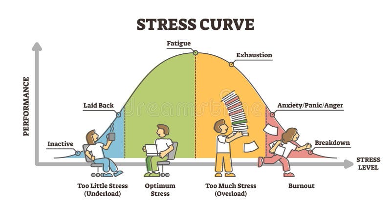 Stress curve educational diagram with performance level graph outline concept vector illustration