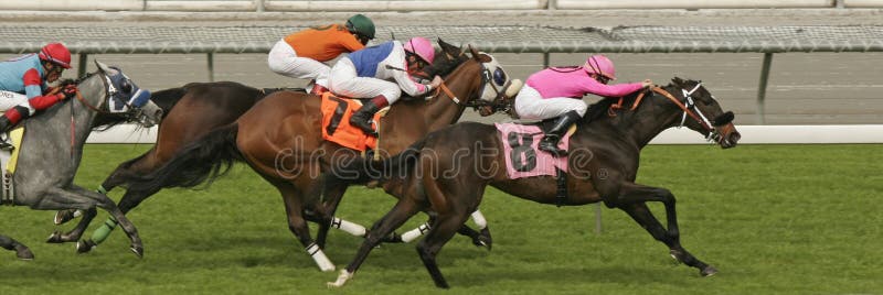 Horizontal View of 2007 Eclipse Award Winning Jockey Garrett Gomez (#8) Winning a Claiming Race aboard Wild and Ready at Santa Anita Park, Arcadia, California, on March 14, 2008. Horizontal View of 2007 Eclipse Award Winning Jockey Garrett Gomez (#8) Winning a Claiming Race aboard Wild and Ready at Santa Anita Park, Arcadia, California, on March 14, 2008.