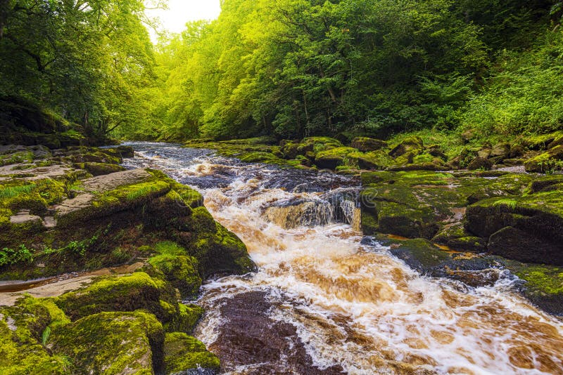 The Strid Ion The River Wharfe Near Bolton Abbey In North Yorkshire