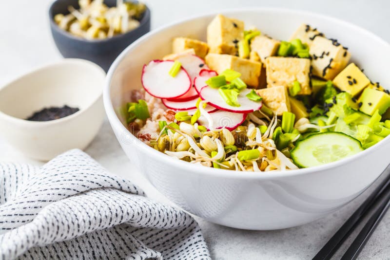 Strikt vegetarian petar bunken med den inlagda tofuen, grönsaker och ris i en vit bunke fotografering för bildbyråer Strikt vegetarian petar bunken med den inlagda tofuen, grönsaker och ris i en vit bunke fotografering för bildbyråer