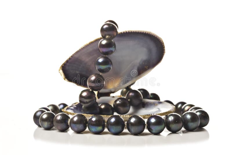 String of black pearls in a sea shell royalty free stock photography String of black pearls in a sea shell royalty free stock photography