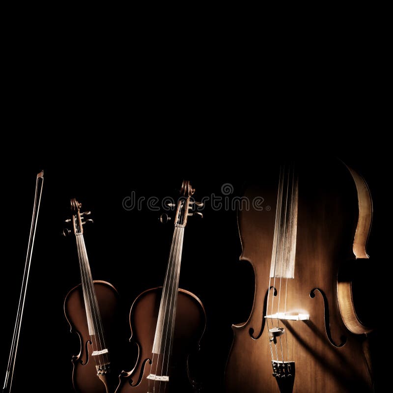 Violin cello. Ensemble of string instruments. String instruments isolated. Violin, viola and cello musical instrument of orchestra. Ensemble of classical music