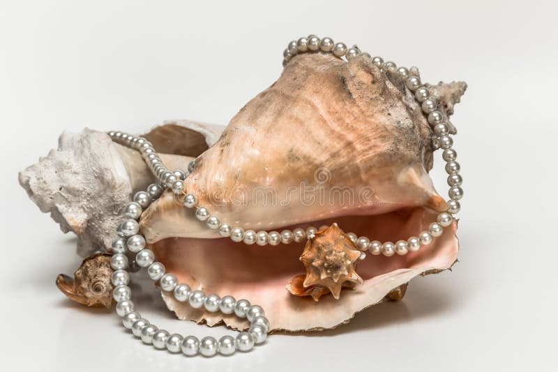 String Of Pearls Thrown Over The Sea Shells Stock Photo