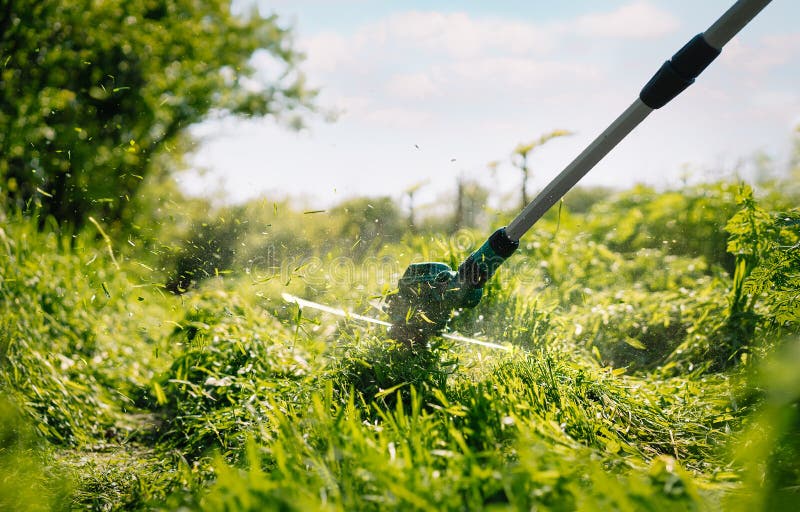 String Trimmer Cutting Grass in the Garden Stock Photo Image of