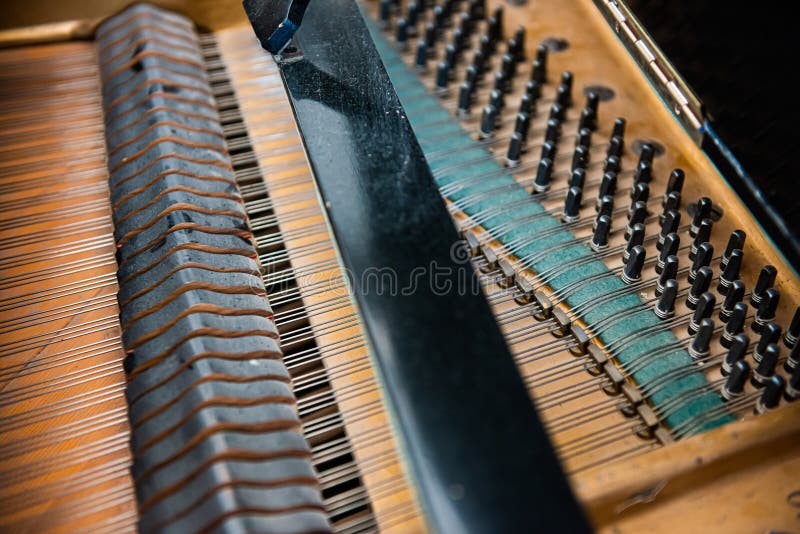 Strings of a black grand piano..