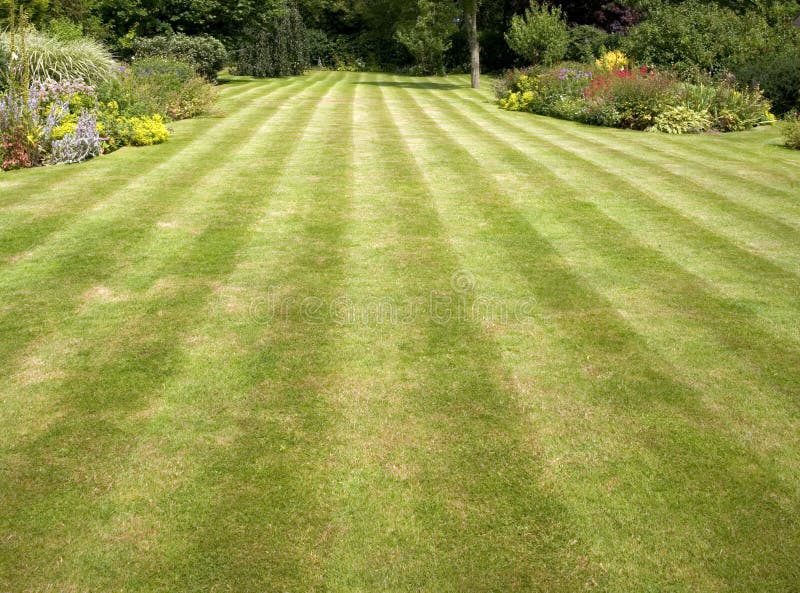 lawn stripes lawn stripes