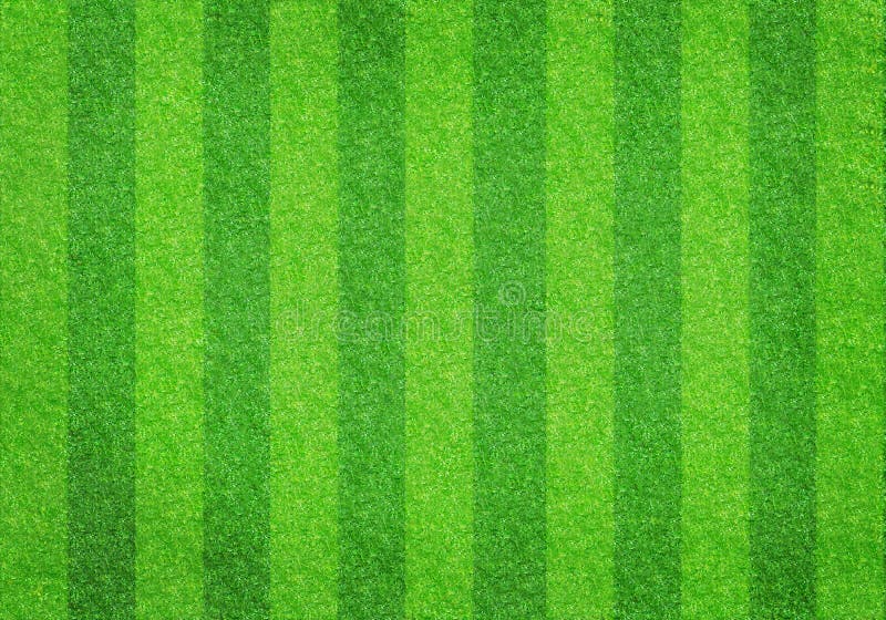 Striped soccer football grass field texture, background with copy space