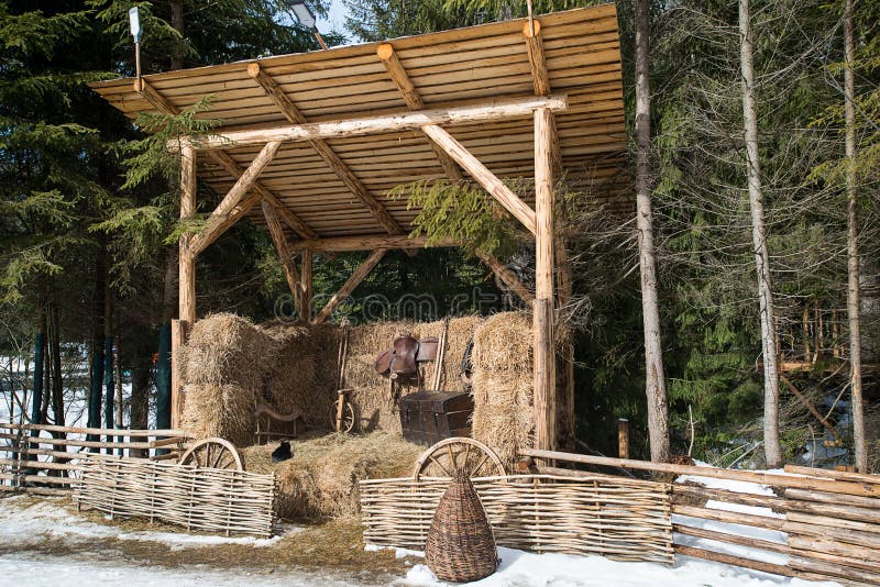 Stripped rural cat sleeping on the straw in a barn. Forest on a background