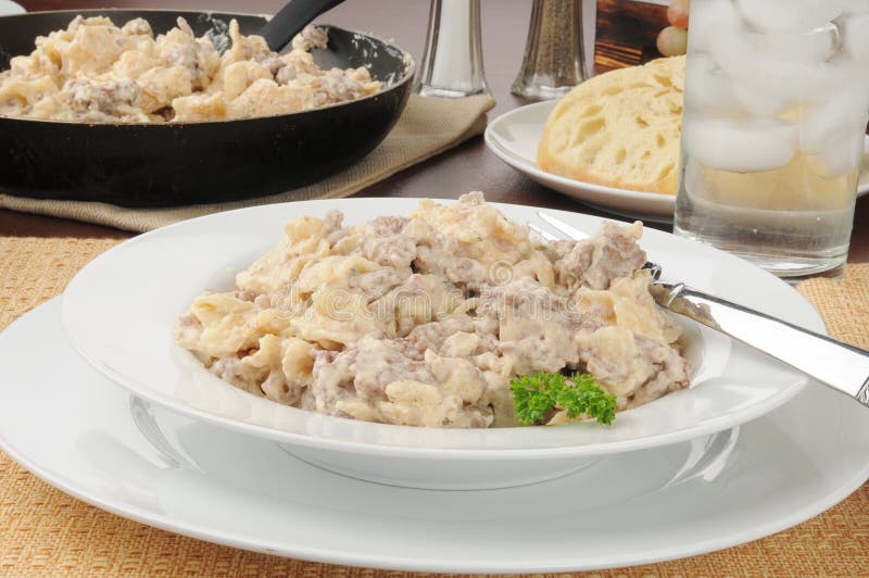Stroganoff Skillet στοκ εικόνες Stroganoff Skillet στοκ εικόνες
