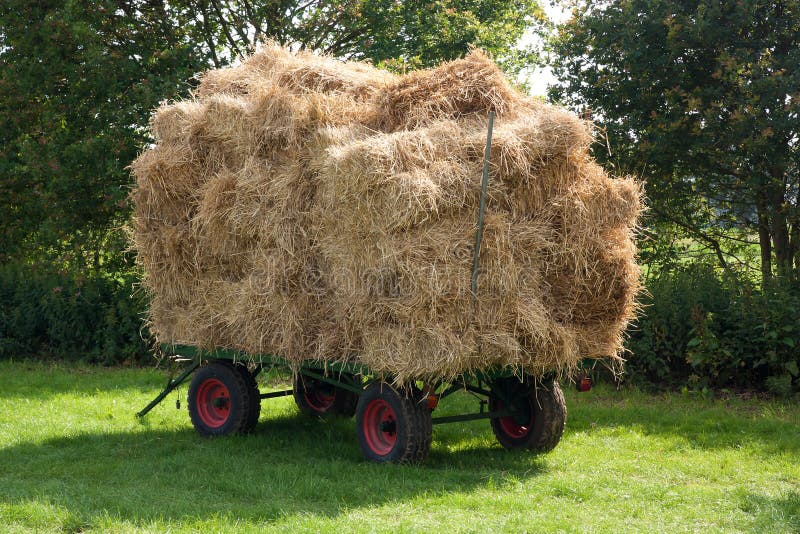 Strohherausforderung stockfotos Strohherausforderung stockfotos
