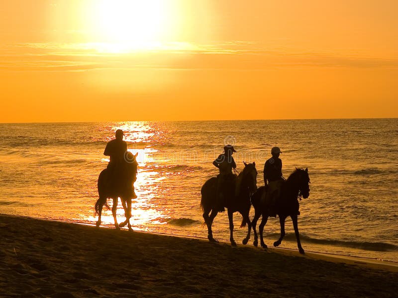 by mounting a horse in a summer afternoon in piura