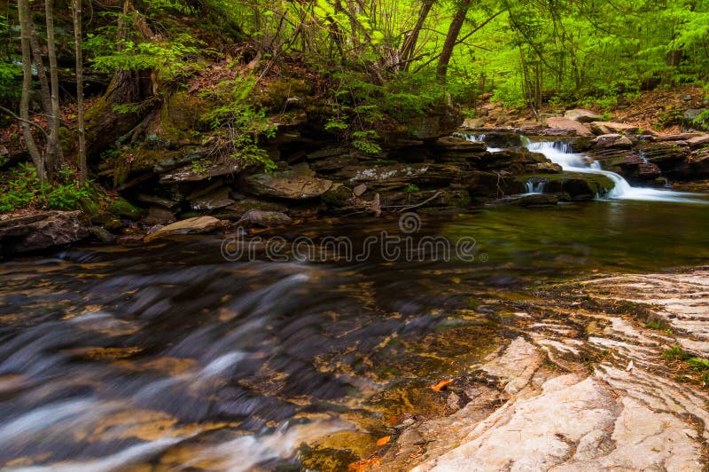 Strom in Ricketts Glen State Park stockbilder Strom in Ricketts Glen State Park stockbilder