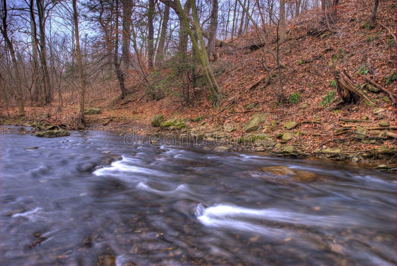 Stromende Beek in de Winter stock foto