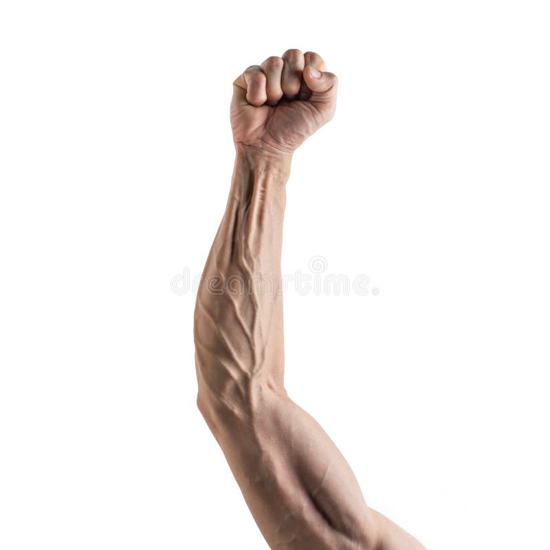 26,210 Strong Arm Woman Stock Photos - Free & Royalty-Free Stock