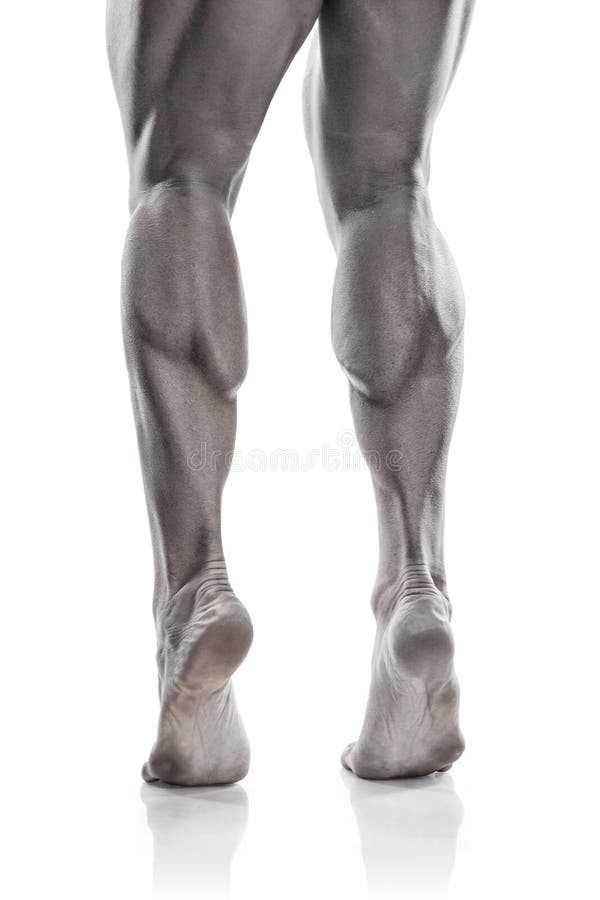 93,800+ Muscular Legs Stock Photos, Pictures & Royalty-Free Images - iStock