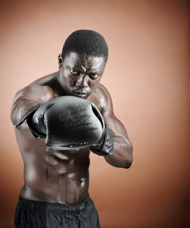 Defined Boxer Photos Free & RoyaltyFree Stock Photos from Dreamstime