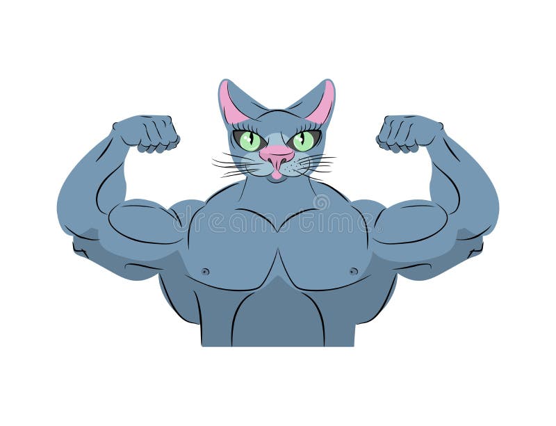 Strong Cat. Power Animal Bodybuilder. Pet with Big Muscles Stock Vector - Illustration of angry, cartoon: 59560738 Strong Cat. Power Animal Bodybuilder. Pet with Big Muscles Stock Vector - Illustration of angry, cartoon: 59560738