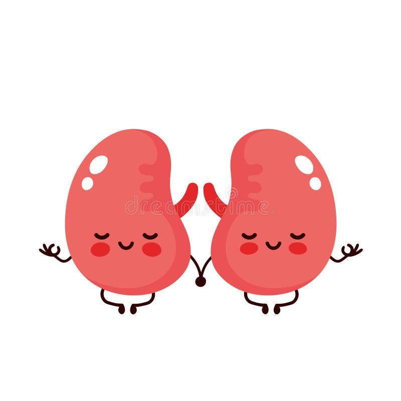 Strong cute healthy happy kidneys royalty free illustration