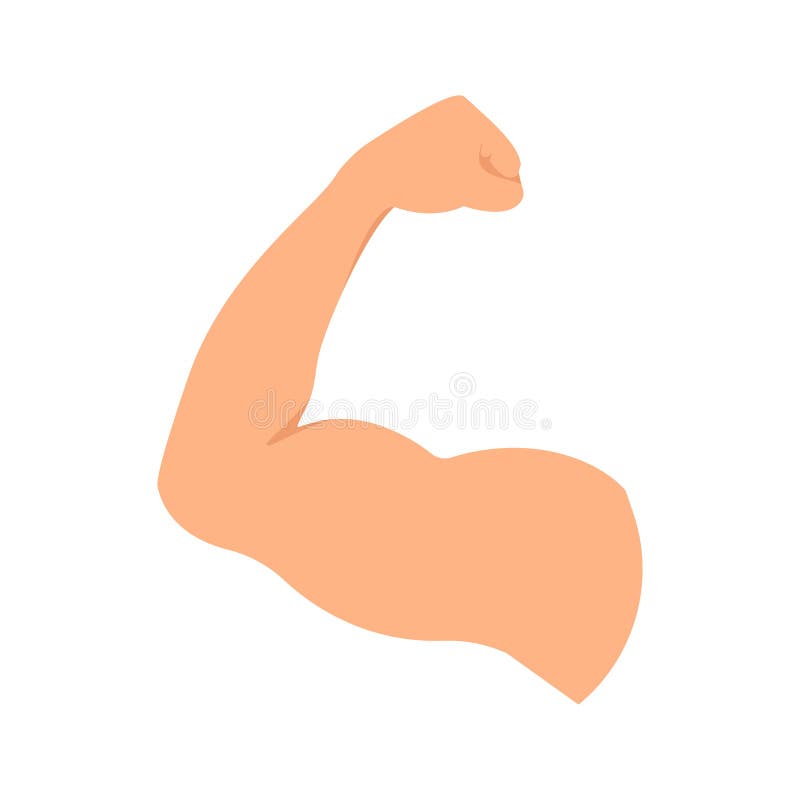 Strong Hand with Biceps Muscle Educational Poster Stock Vector ...