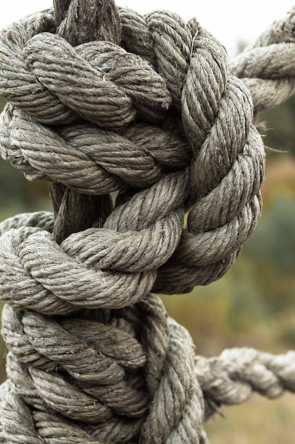 Strong Knot Of Timeworn Ship Rope Stock Photo Image of pirate, nautical 59666486